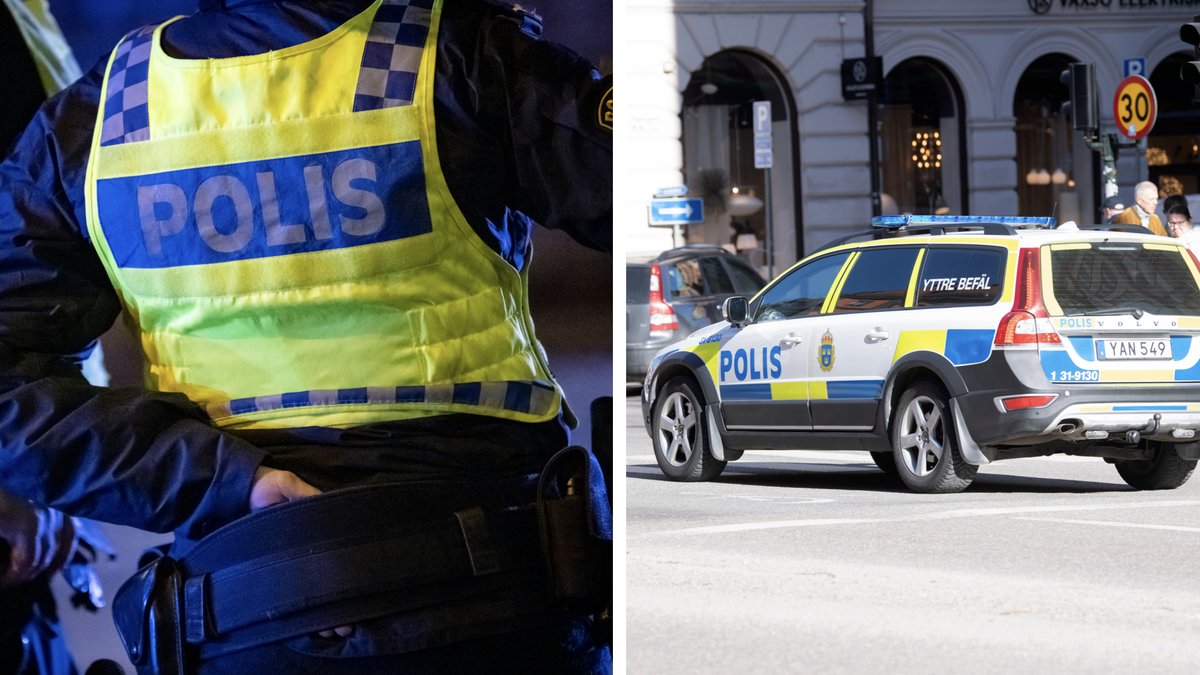 Person dog under polistransport 