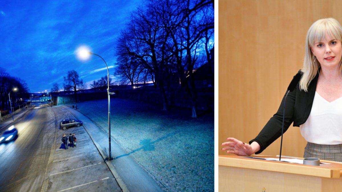 Linda Westerlund Snecker (V) vill se hårdare straff för sexköpare.