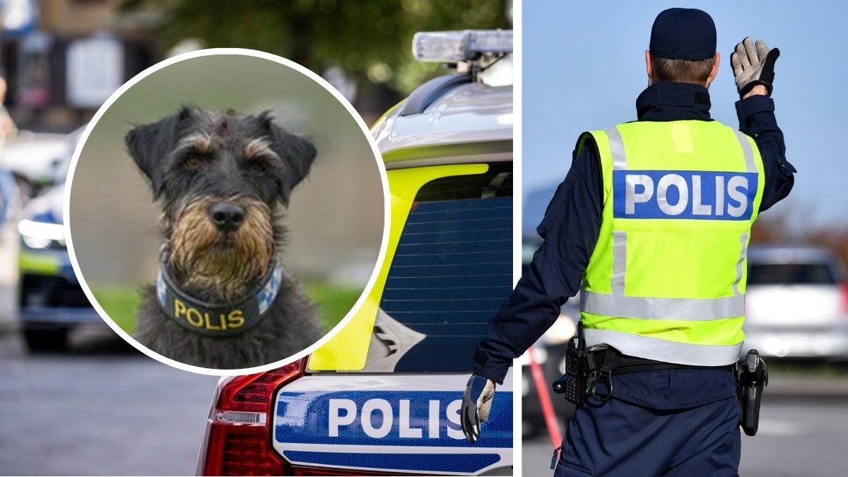 Polishunden Ivan, polisman och polisbil.