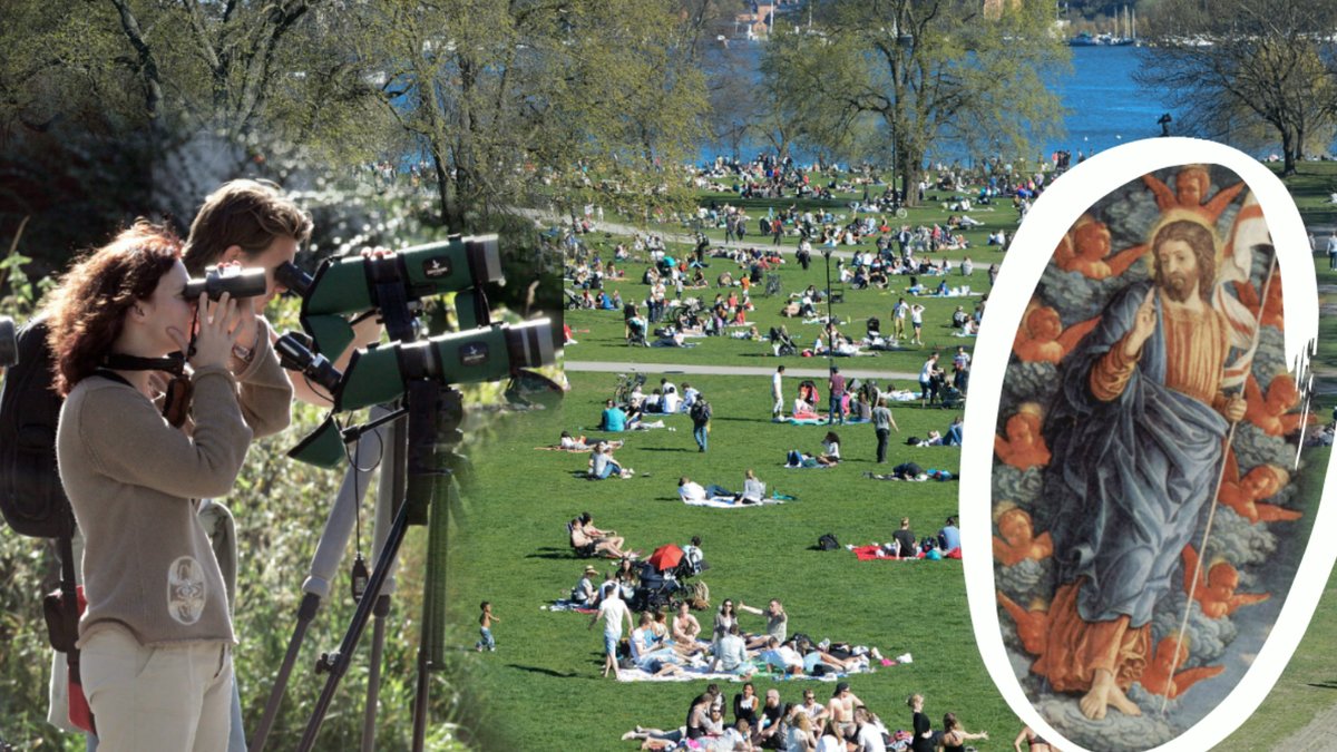 Fågelskådare/Människor solar i en park/Jesus