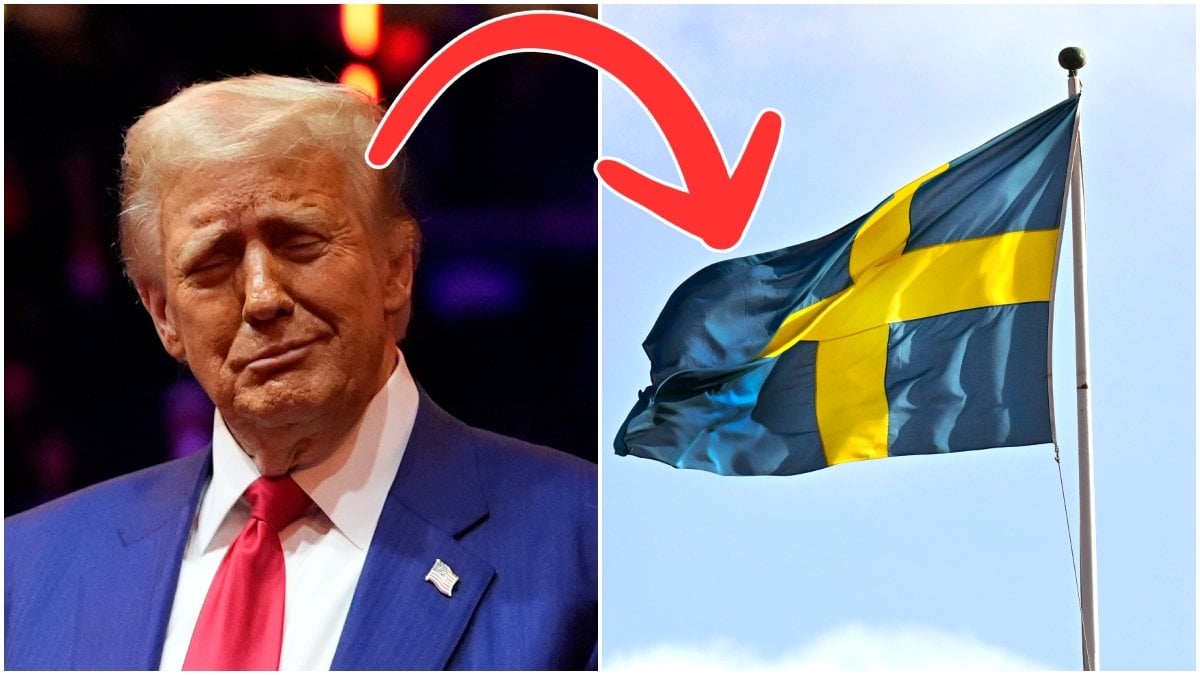 Hur kommer Sveriges ekonomi att påverkas om Donald Trump vinner presidentvalet i USA 2024?