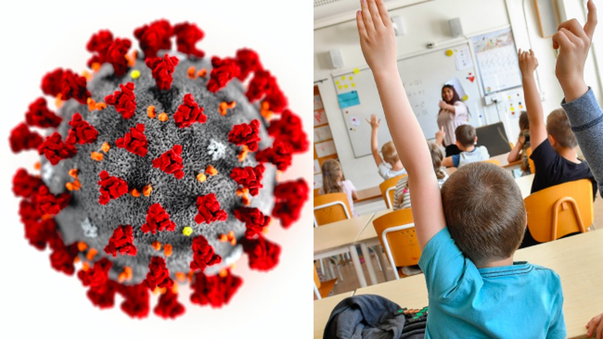 Pa-fredag-beslutar-regeringen-om-den-svenska-skolan