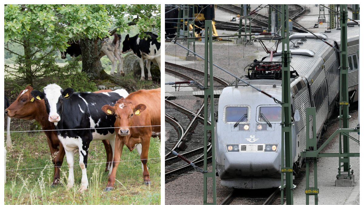 Ett persontåg har spårat ur i närheten av Herrljunga.