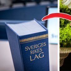 Sveriges lagbok och mat.