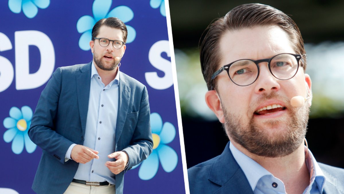 En ung man försökte attackera Jimmie Åkesson