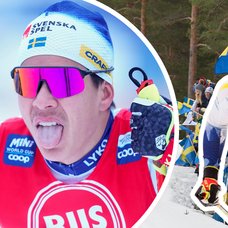 George Ersson är en svensk längdskidåkare.