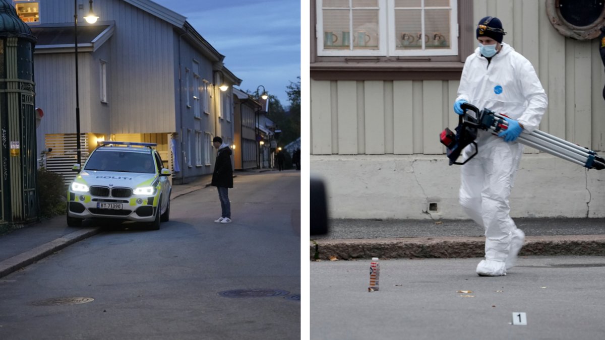 En man har erkänt pilbågsattacken i Kongsberg.