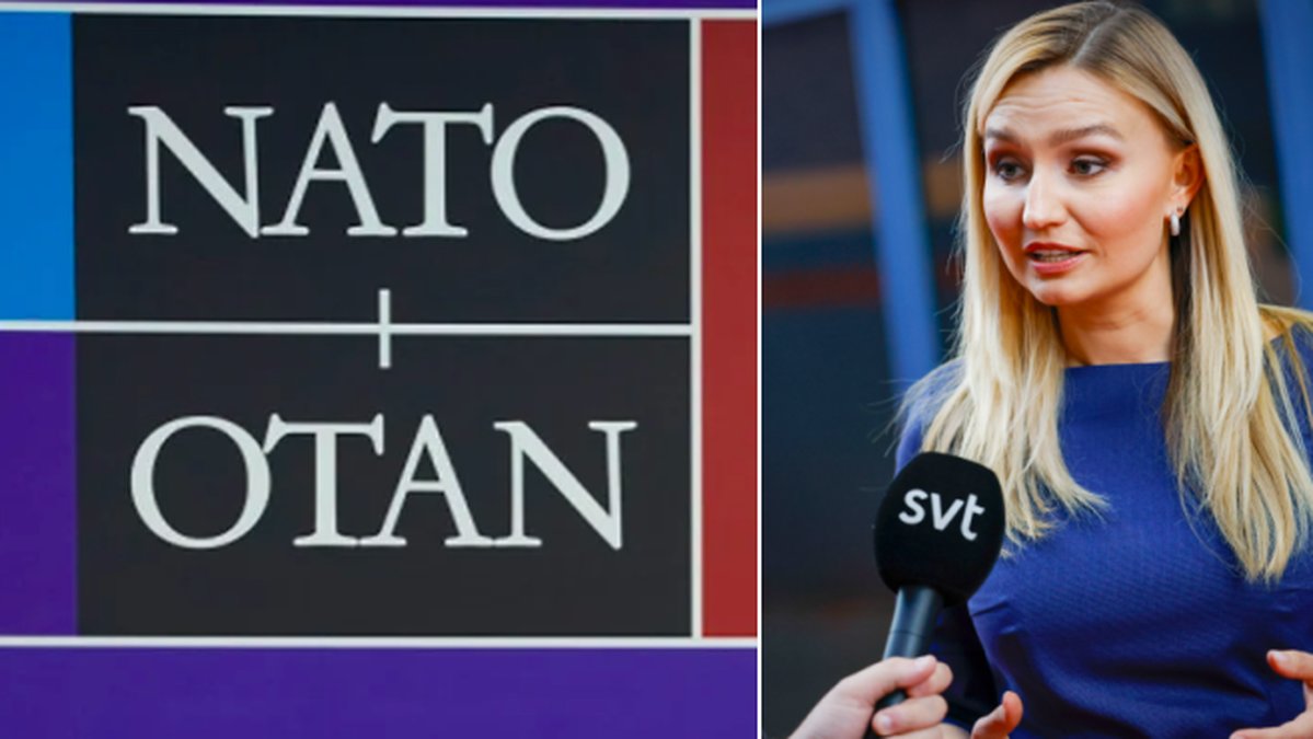Ebba Busch hyllar beslutet om Nato.