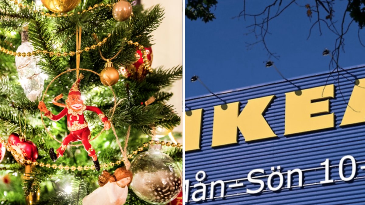 Ikea storsatsar på julgranar – skeppar träden runt halva jordklotet.