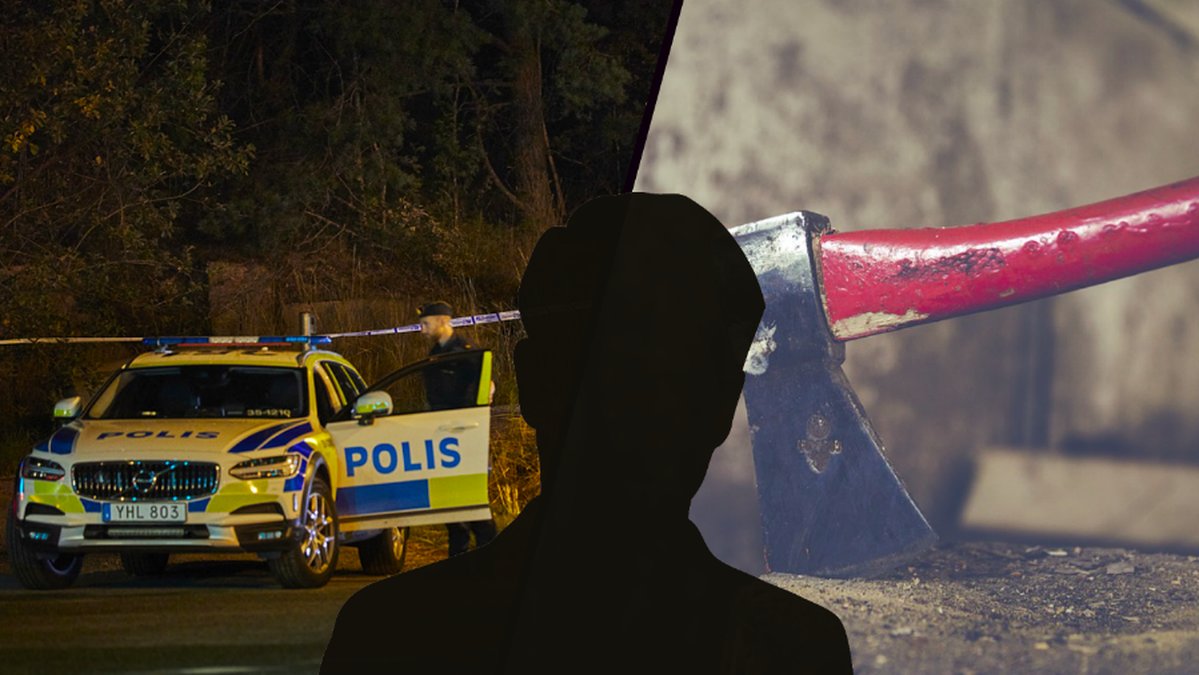 Tonårspojken misstänks ha mördat sin kompis med en yxa.