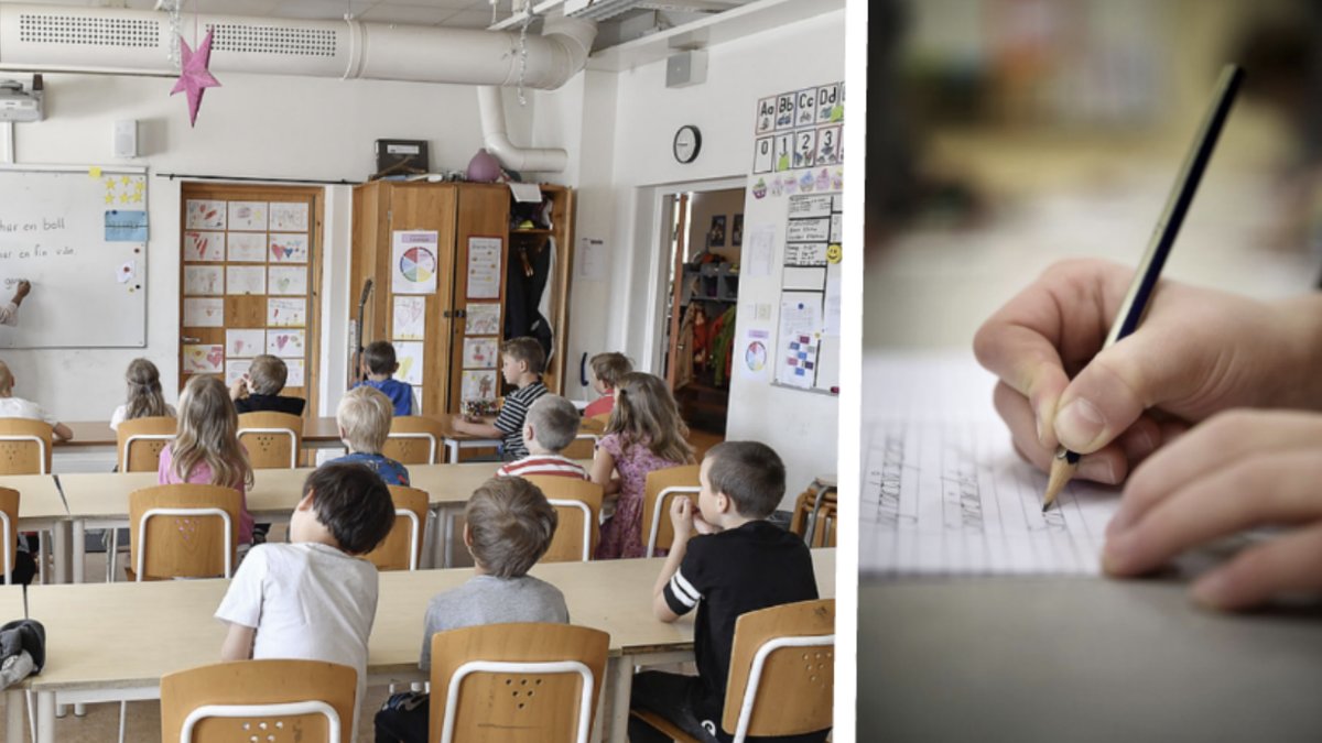 Skola, skolbarn