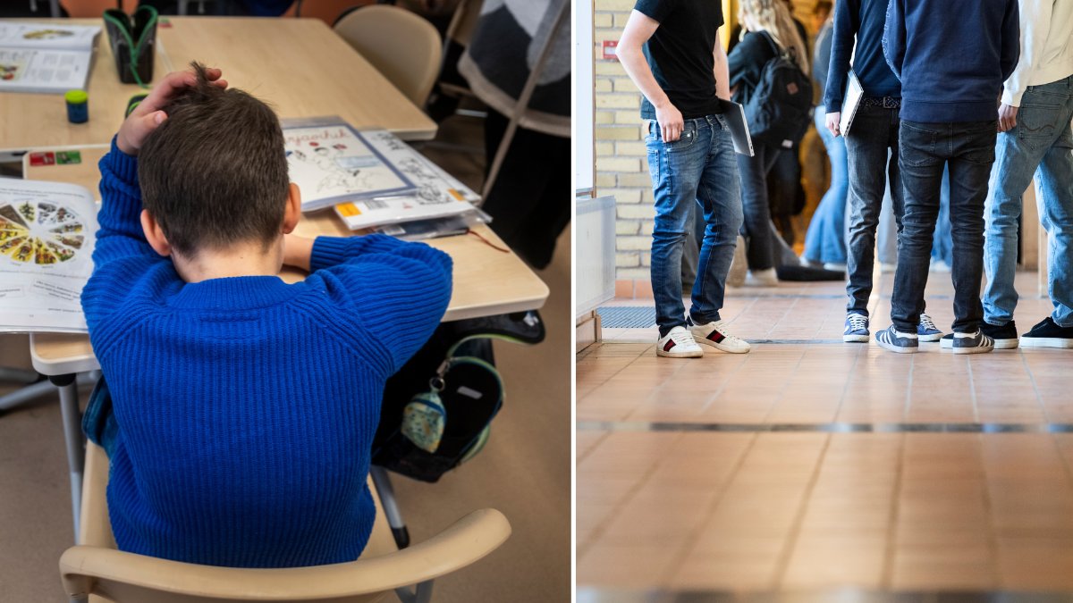 Skola, elev