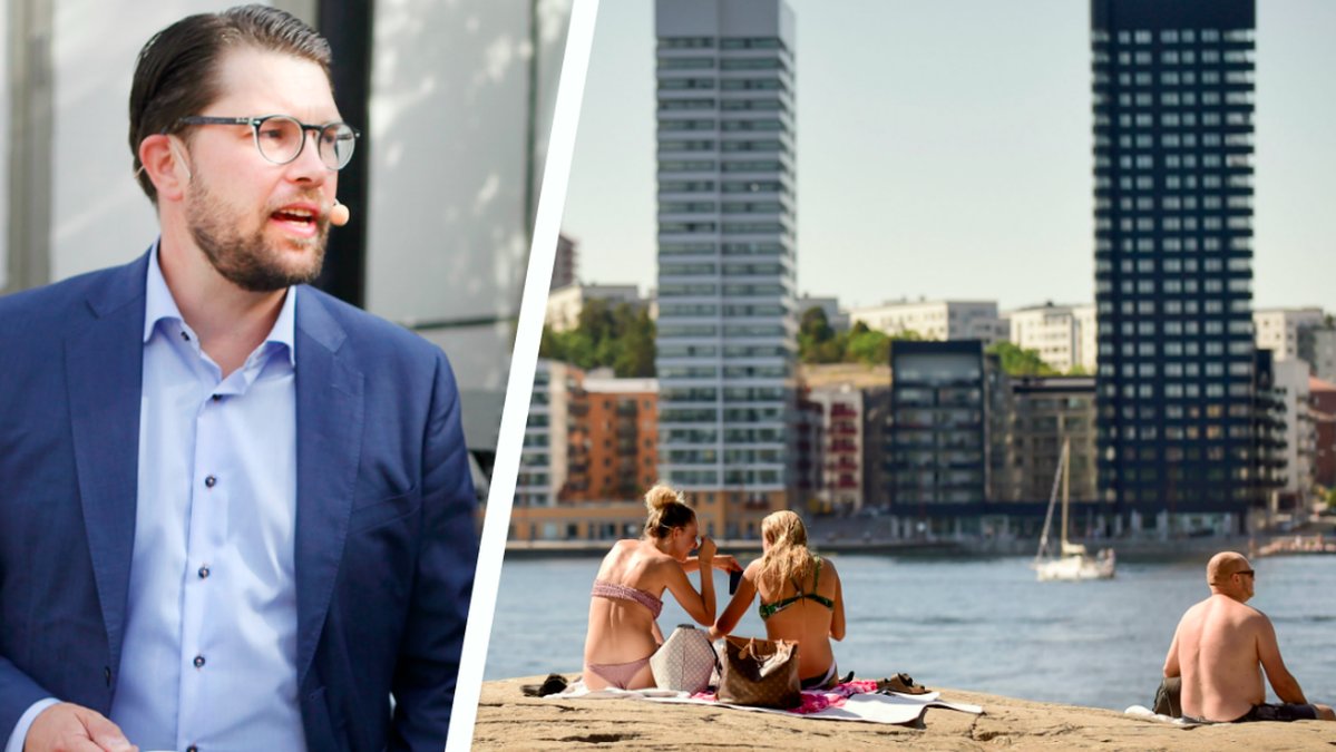 Jimmie Åkesson, Sverigedemokraterna