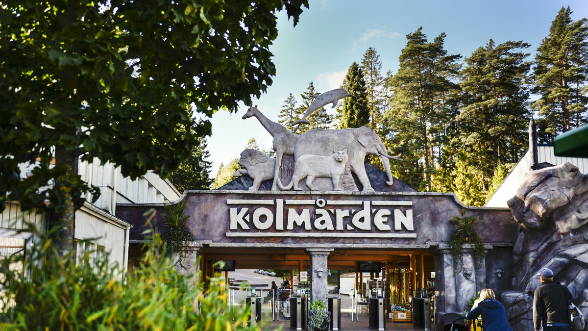 Det är stopp i tågtrafiken vid Kolmården. 