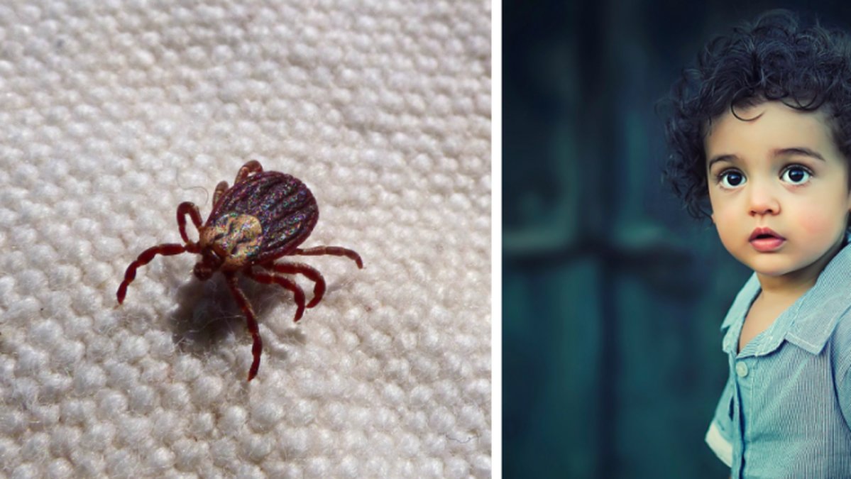 Barn och unga upp till 18 år ska få gratis TBE-vaccin.