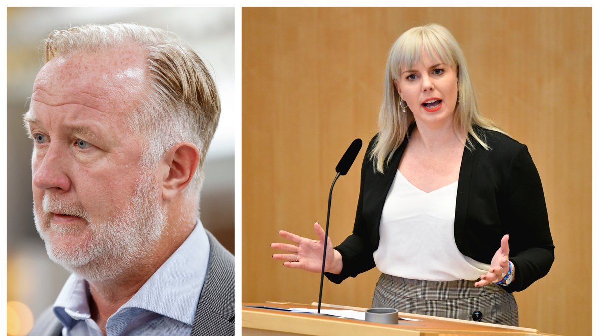 Johan Pehrson (L) menar att Vänsterpartiet sprider skräck.