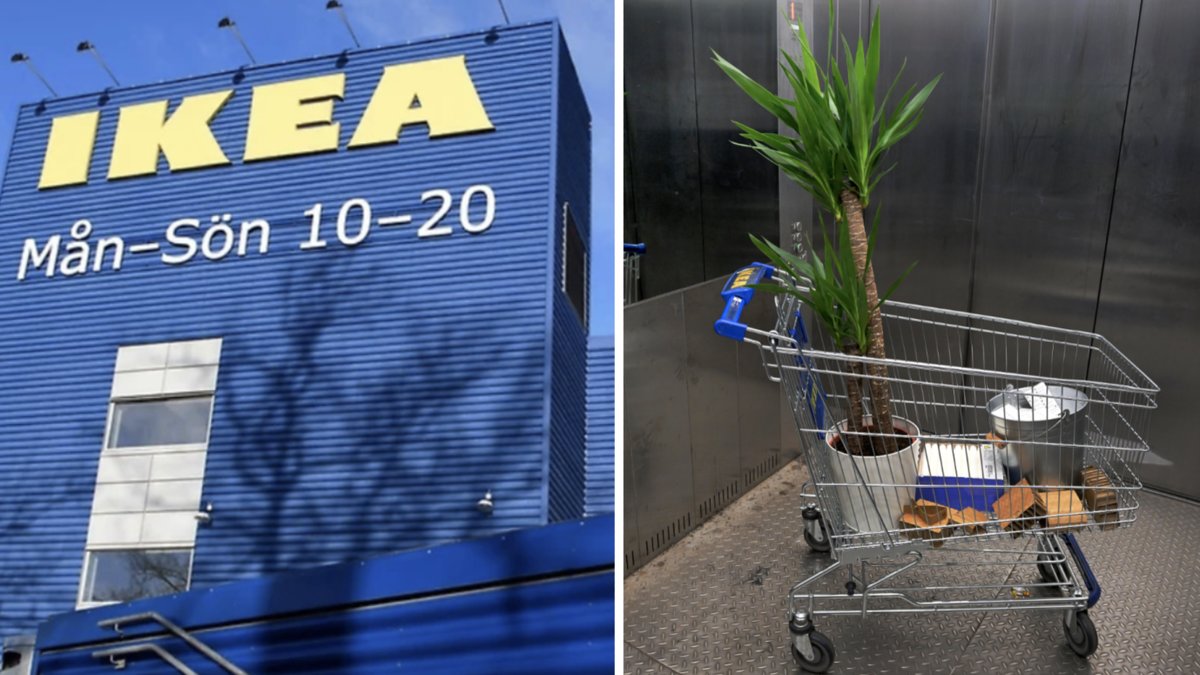 Mannen i 50-årsåldern och hans dotter besökte Ikea i Haparanda.