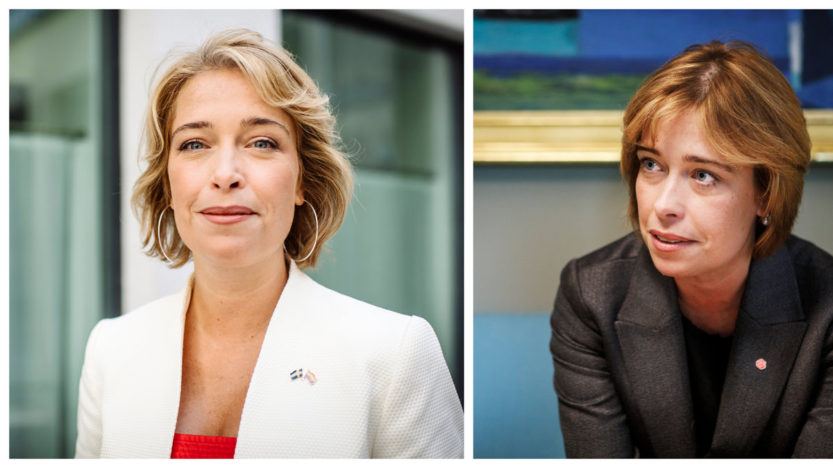 Socialförsäkringsminister Annika Strandhäll (S) avgår.
