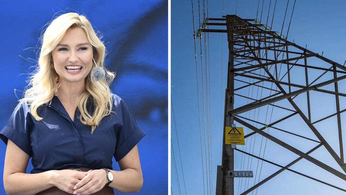 KD föreslår ett stödpaket för att stötta hushåll med höga elräkningar i vinter.