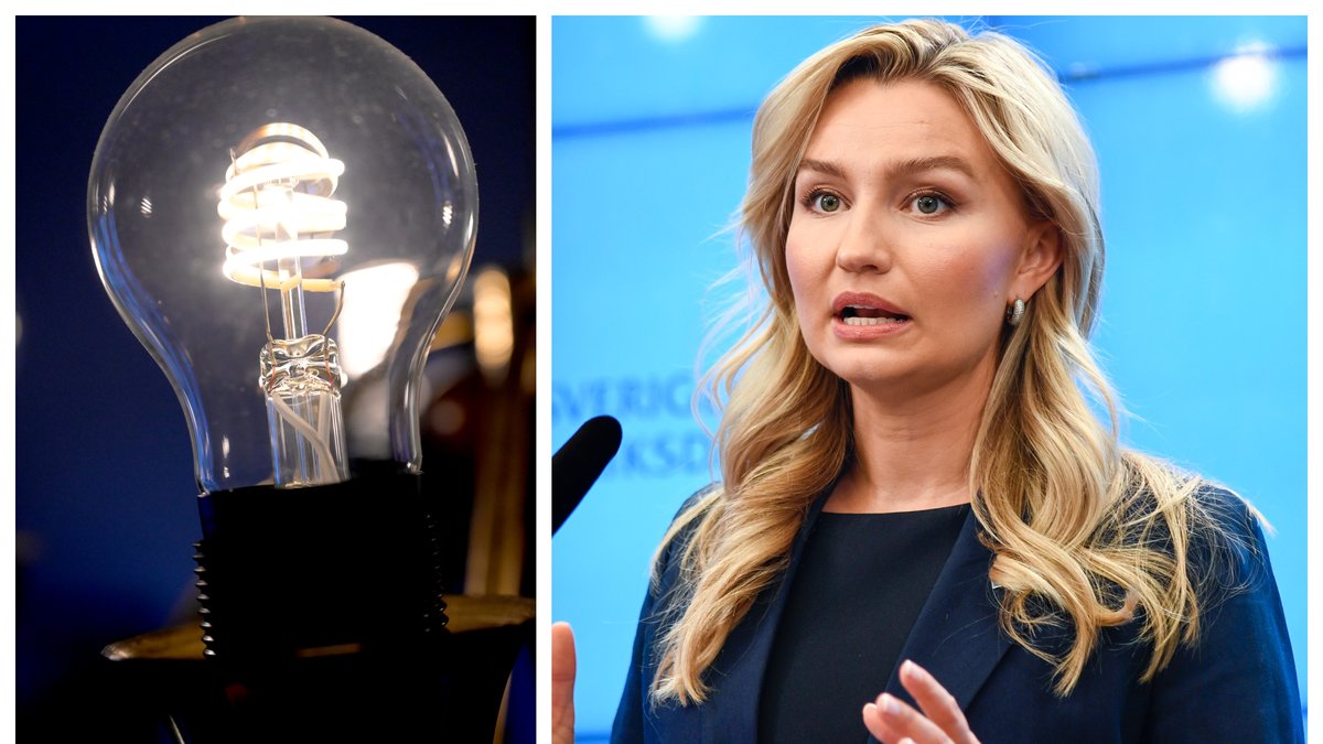 Kristdemokraterna presenterade ett nytt elförslag.
