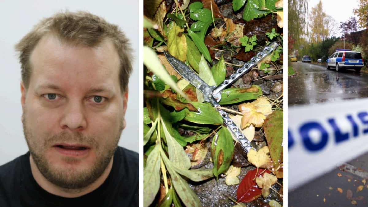 Daniel Nyqvist Dubbelmord