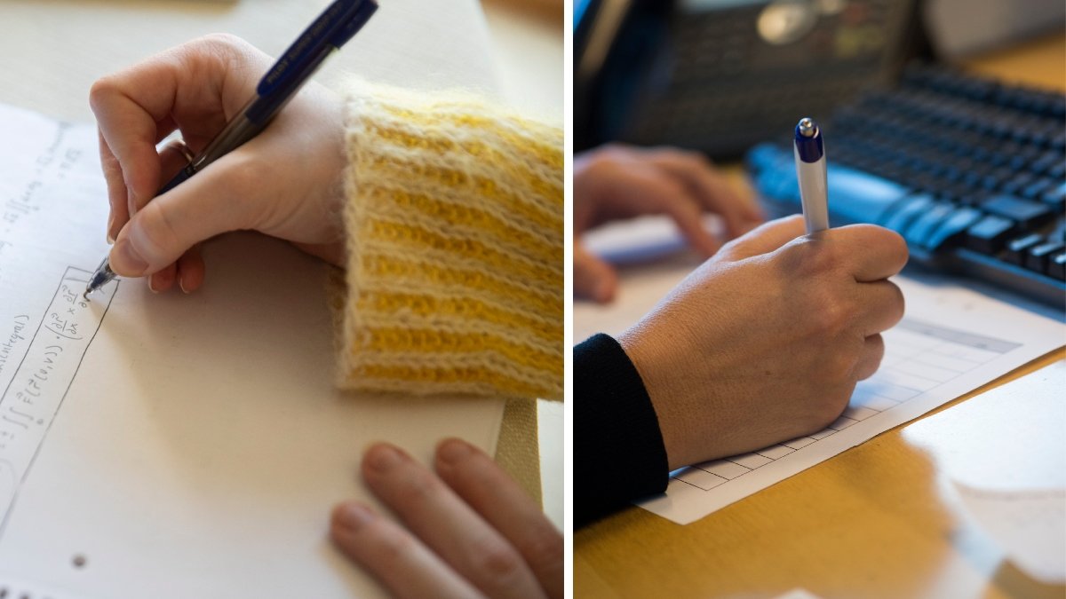 Här är utbildningarna som snabbast ger jobb