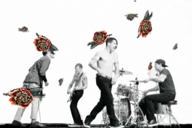 Musikgruppen