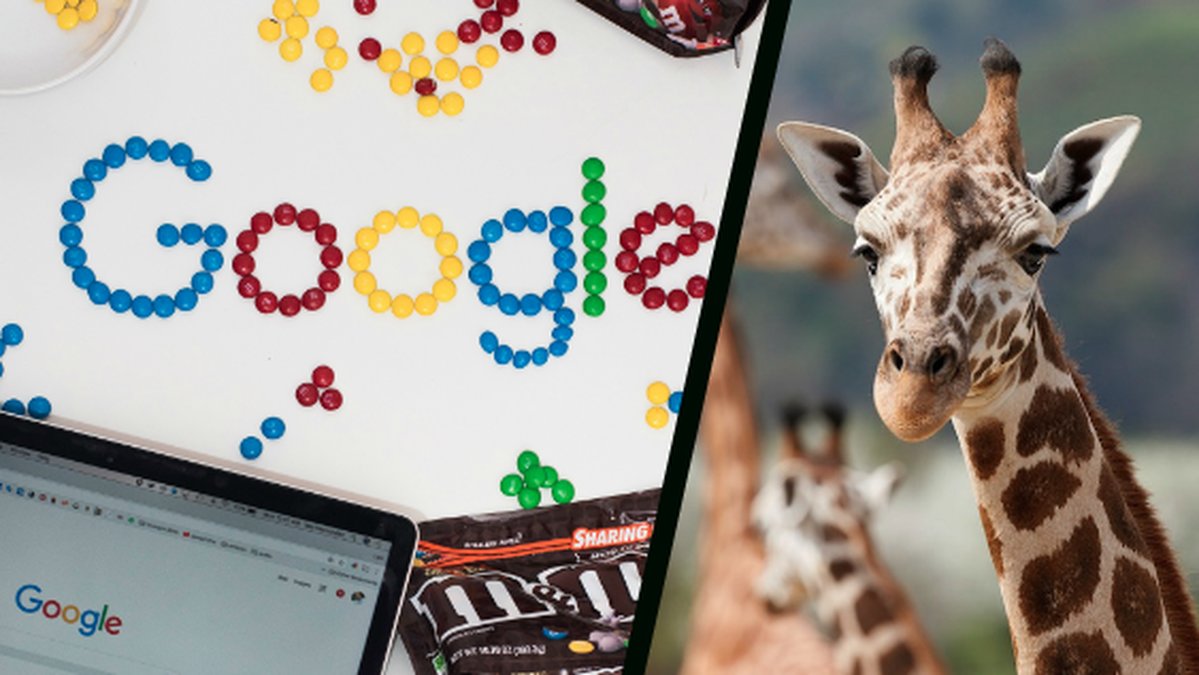 Google logotyp och giraff