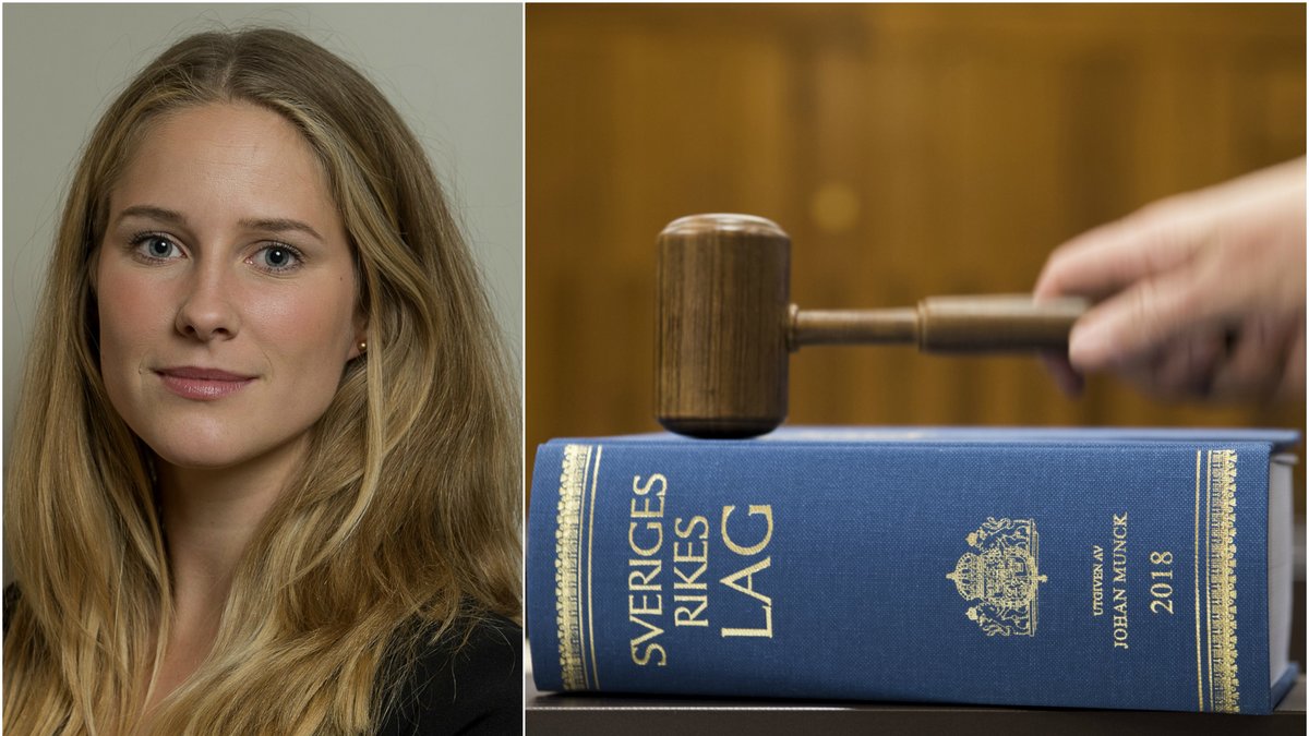 I riskdagen så beslutar man om lagar