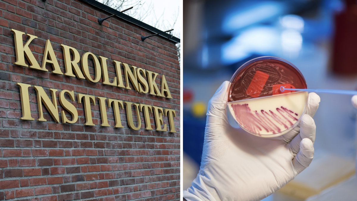Aggressiva och resistenta bakterien ökar – oroar sjukvården