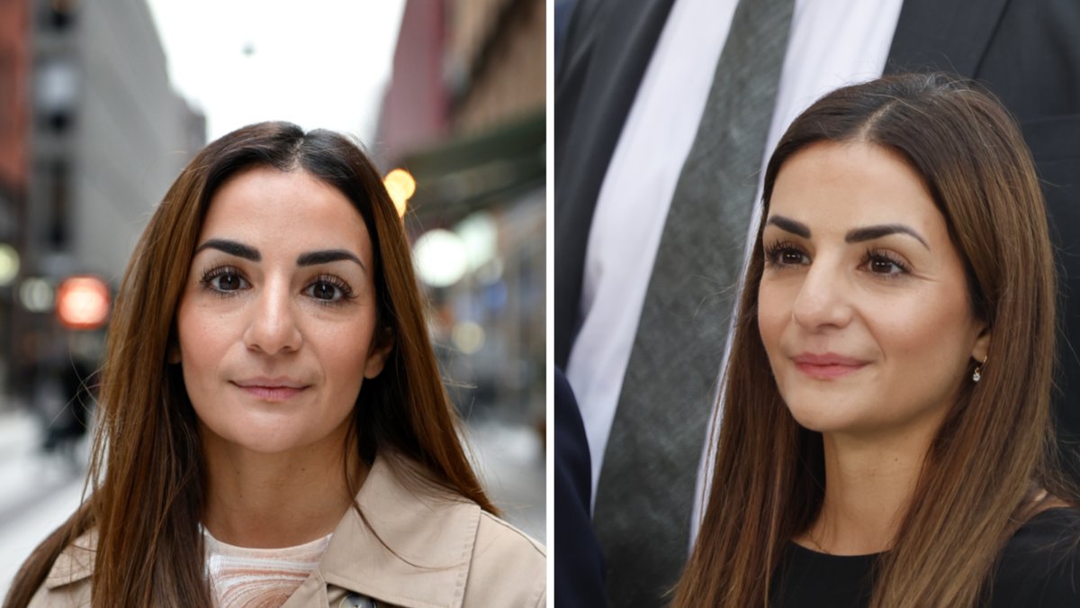 Här är allt du vill veta om Parisa Liljestrand.