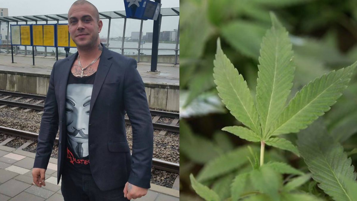 Medicinskt bruk av gräs, marijuana, cannabis. 