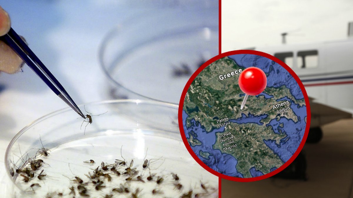 WEST NILE VIRUS