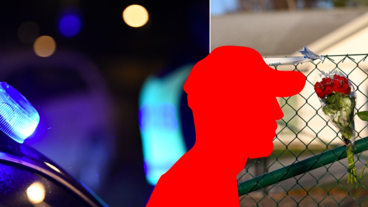 Den 20-åriga mannen erkänner brott.