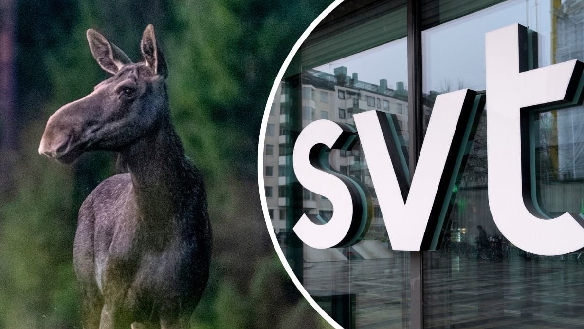 Älg och SVT:s logga på fasad