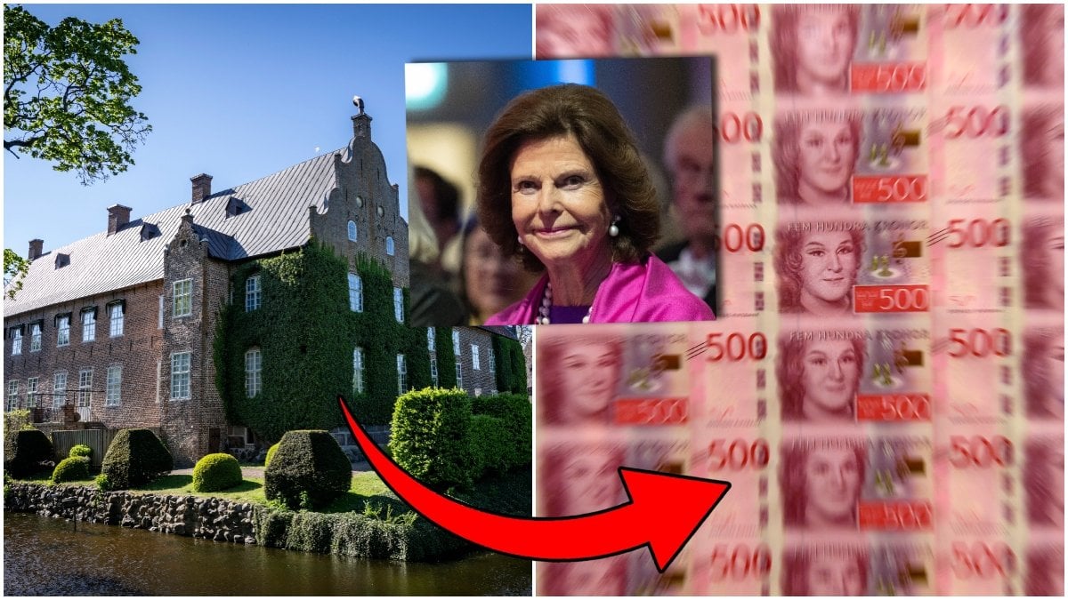 En infekterad arvstvist har uppstått mellan två svenska adelsfamiljer.
