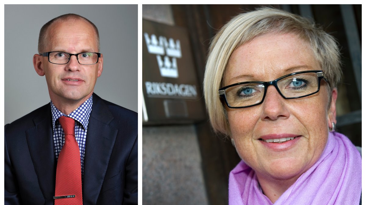 Vem tjänar egentligen mest bland Socialdemokraternas riksdagsledamöter?