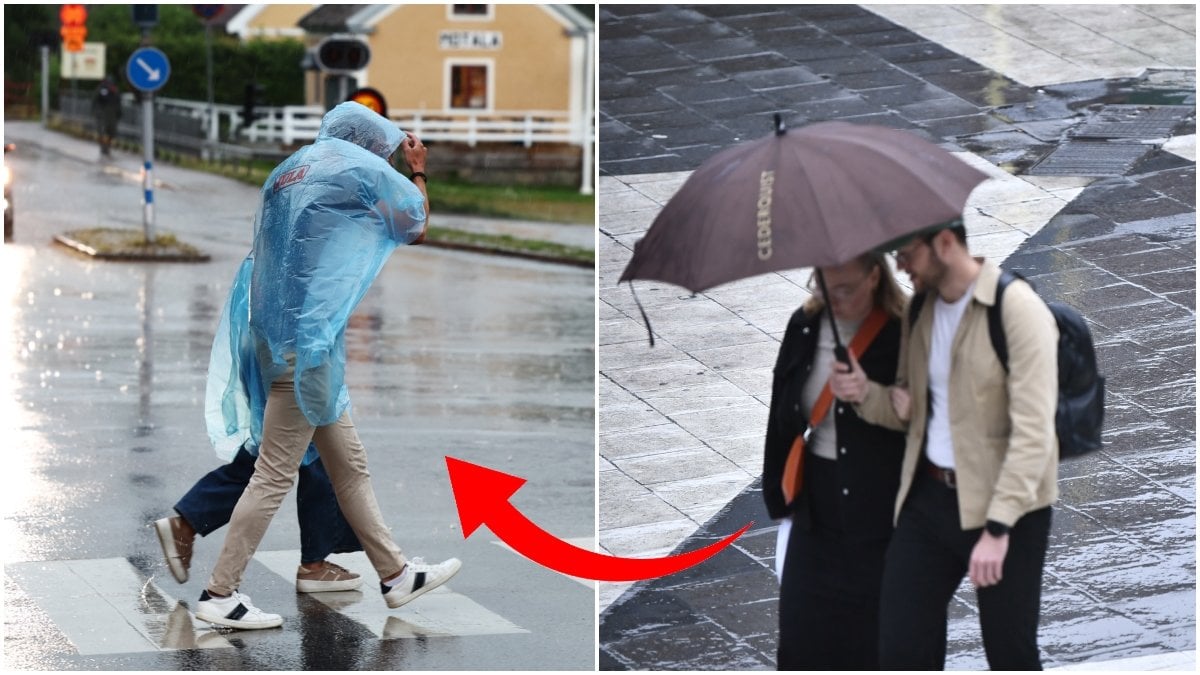 Väderprognos