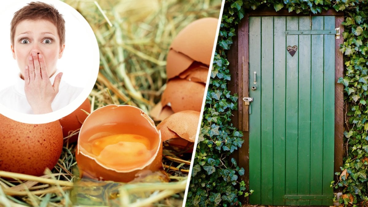 Förvånad tjej, grön dassdörr och ägg.