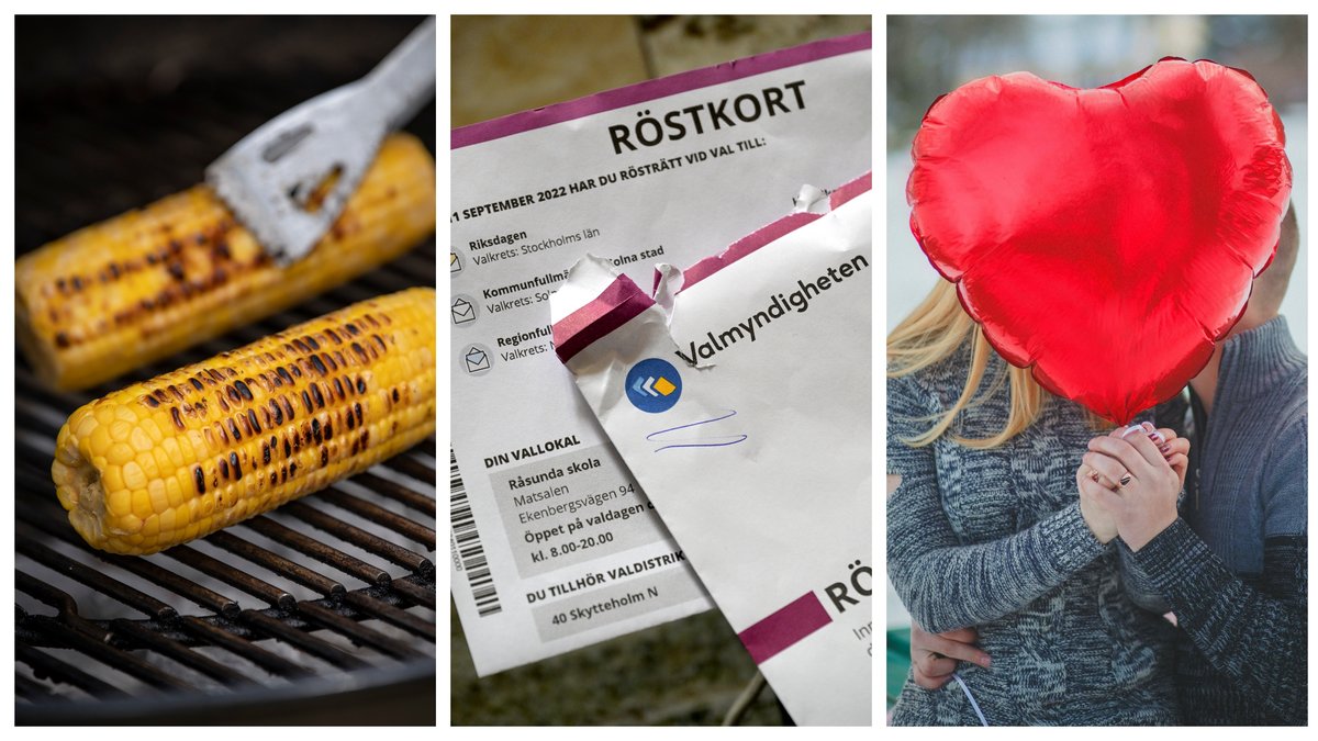Här är åtta uppstickarpartier i valet 2022.