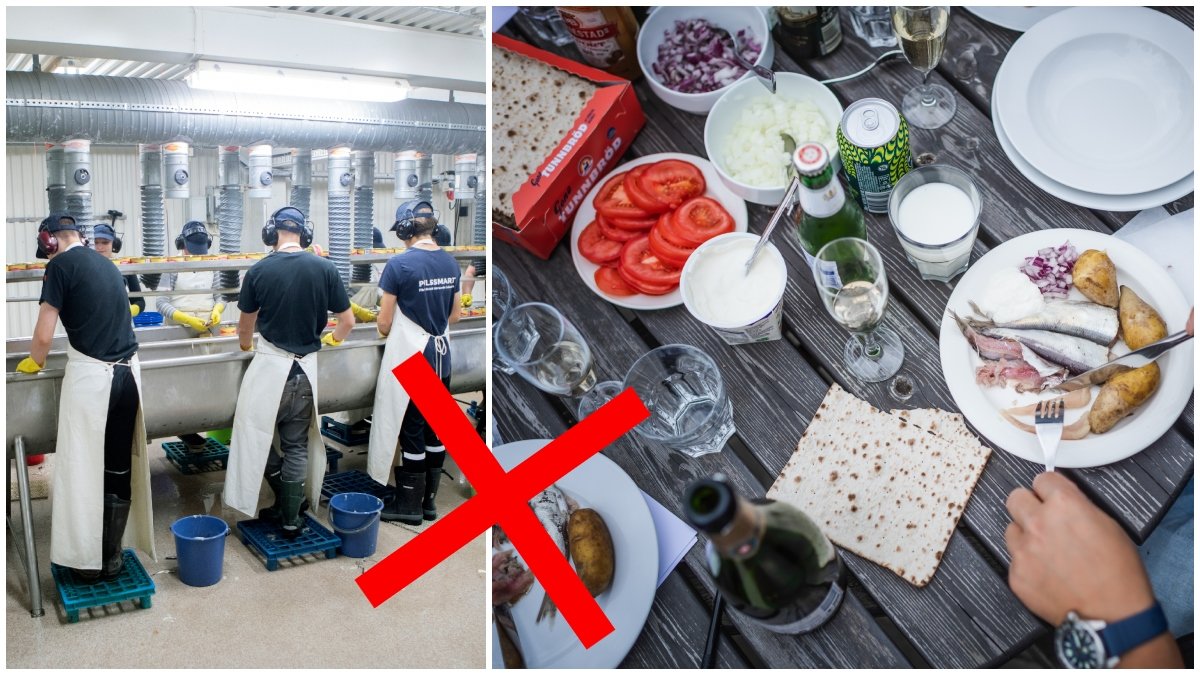 Oskars surströmming varnar för att det återigen kan bli brist på surströmming.