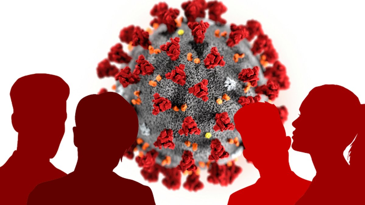 Coronaviruset-kan-angripa-pa-fyra-olika-satt