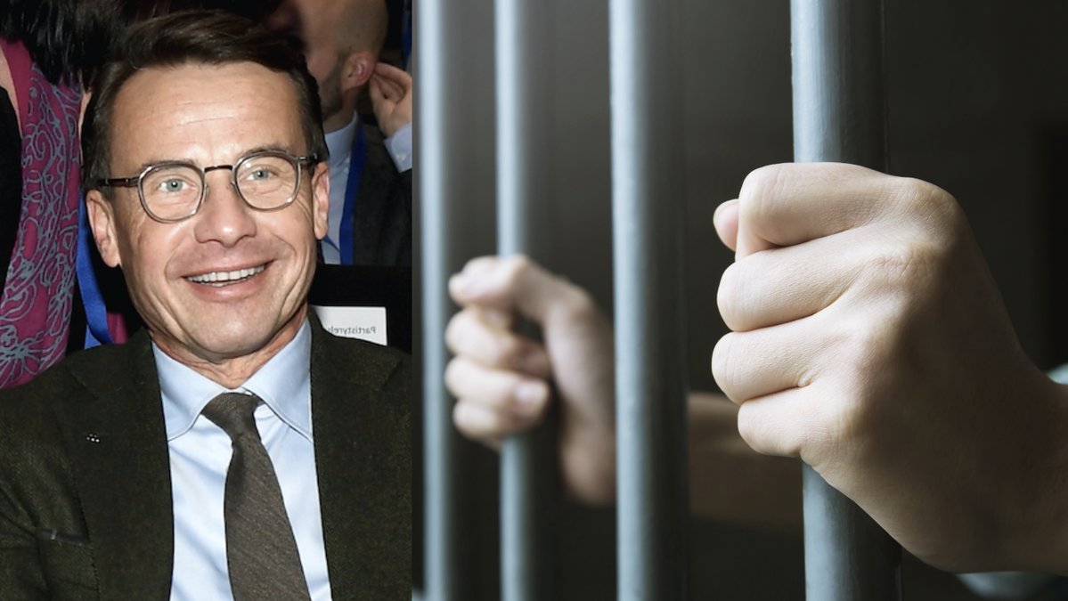 Moderaterna-ska-verka-for-sankt-straffmyndighetsålder