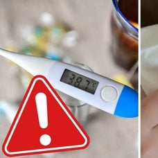 Febertermometer och förkyld person som snyter sig.