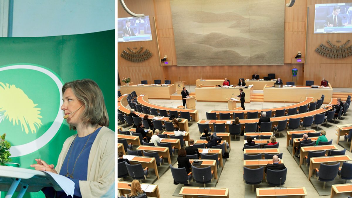 Nyheter24 har granskat hur mycket Miljöpartiets ledamöter tjänar.