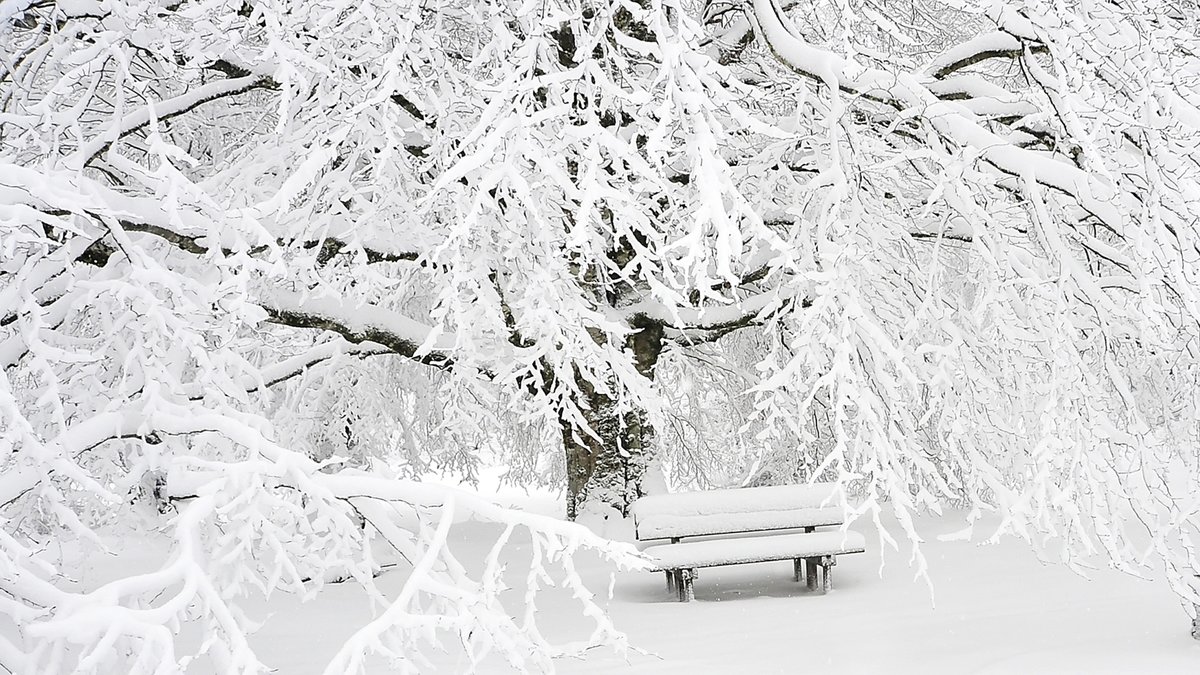 Genrebild på snö.