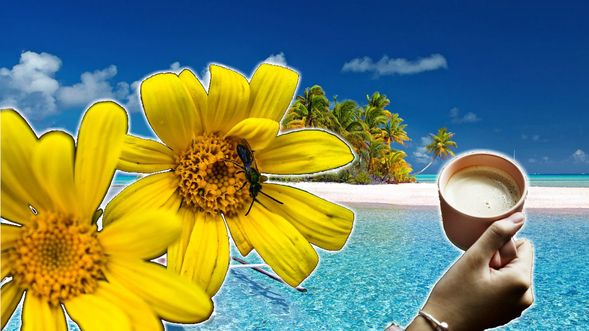 Gör Nyheter24:s sommarquiz