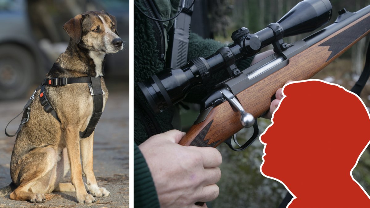 Hunden fick så pass svåra skador att den tvingades avlivas.