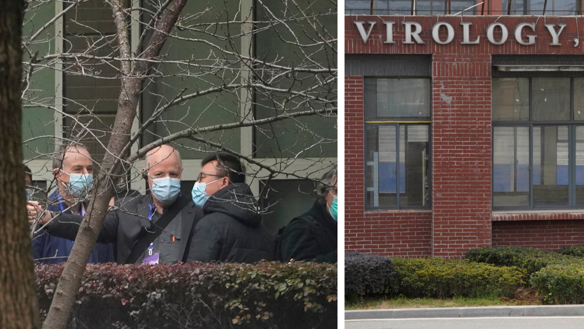 WHO utreder coronavirusets ursprung i Wuhan.