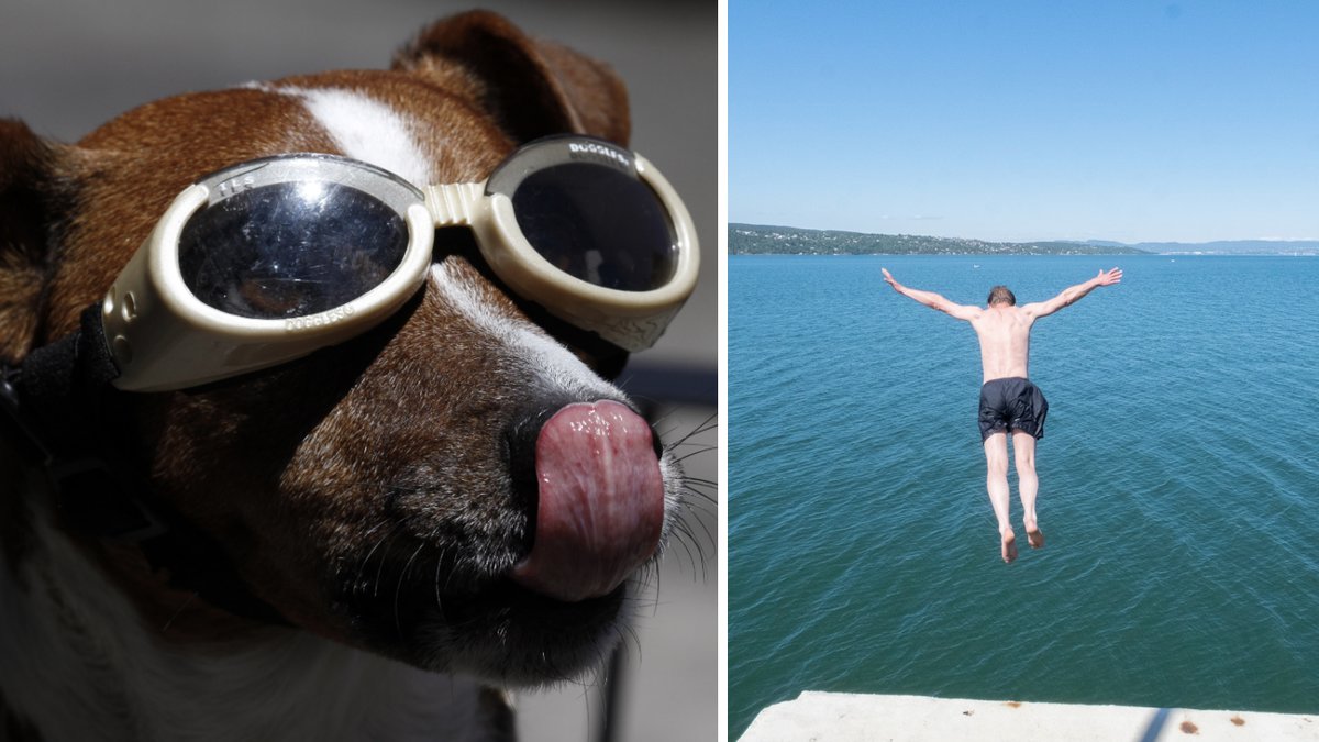 Här blir det sol i helgen.